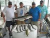 (05/23/2014) - Nice Striped Bass